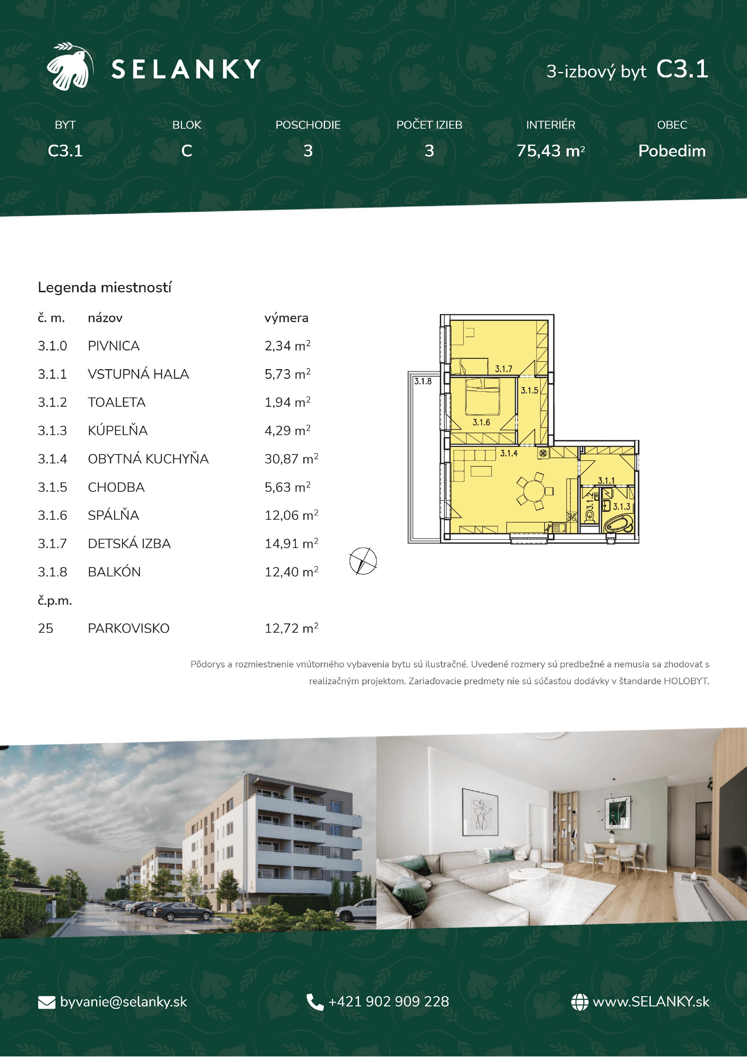 Selanky - C3.1 - Pôdorys